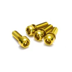 ALLIGATO Bike Geschaft 39 ALLIGATO Bike Geschaft -ALLIGATO Bike Geschaft reverse disc brake bolt set m6 x 18 mm 4 stueck2