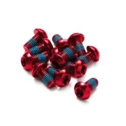 Reverse Disc Rotor Bolt Set M5 X 10 Mm - 12 Stück