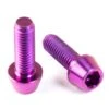 Titan Schrauben - Innensechskant Konischer Kopf - Violett 1 Titan Schrauben - Innensechskant Konischer Kopf - Violett -ALLIGATO Bike Geschaft titan schrauben innensechskant konischer kopf violett
