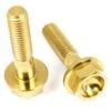 Titan Schrauben - Sechskant Mit Bund - DIN6921 - Gold Nitriert -ALLIGATO Bike Geschaft titan schrauben sechskant mit bund din6921 gold nitriert