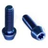 Titan Schrauben - Torx Konischer Kopf - Blau -ALLIGATO Bike Geschaft titan schrauben torx konischer kopf blau