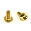 Titan Schrauben - Torx Linsenkopf - Gold Nirtiert -ALLIGATO Bike Geschaft titan schrauben torx linsenkopf gold nirtiert
